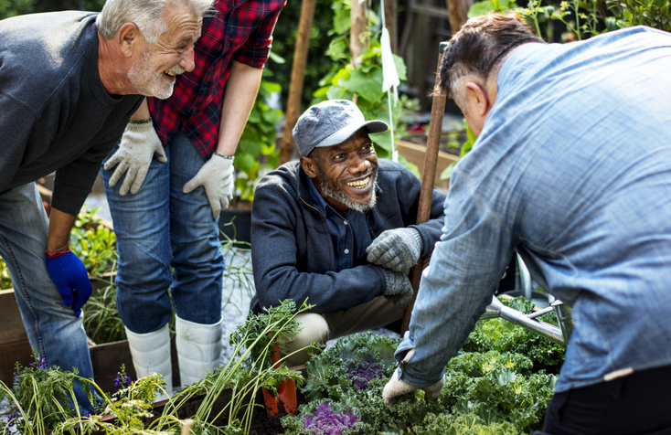 Older men planting vegetables at greenhouse